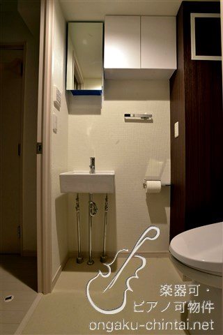 ラシクラスカリビアンⅢ 24時間演奏可 その他