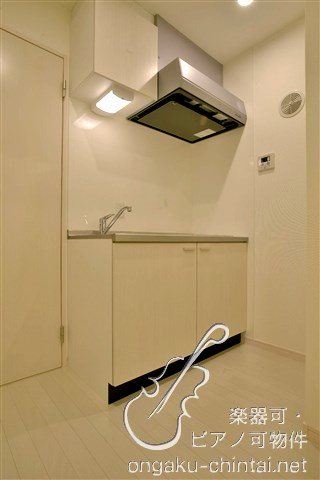 ラシクラスカリビアンⅢ 24時間演奏可 キッチン