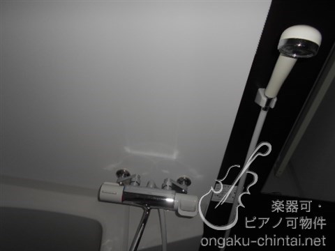 ルプログレ大塚　8：00～23：00演奏可　グランドピアノ・声楽（女性）・弦楽器、木管楽器、DTM、電子楽器 その他