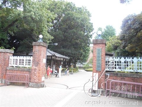 アール桜木　24時間演奏可　東京藝大 大学・短大