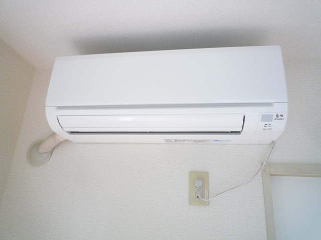 サングリーンゆりの木 その他15