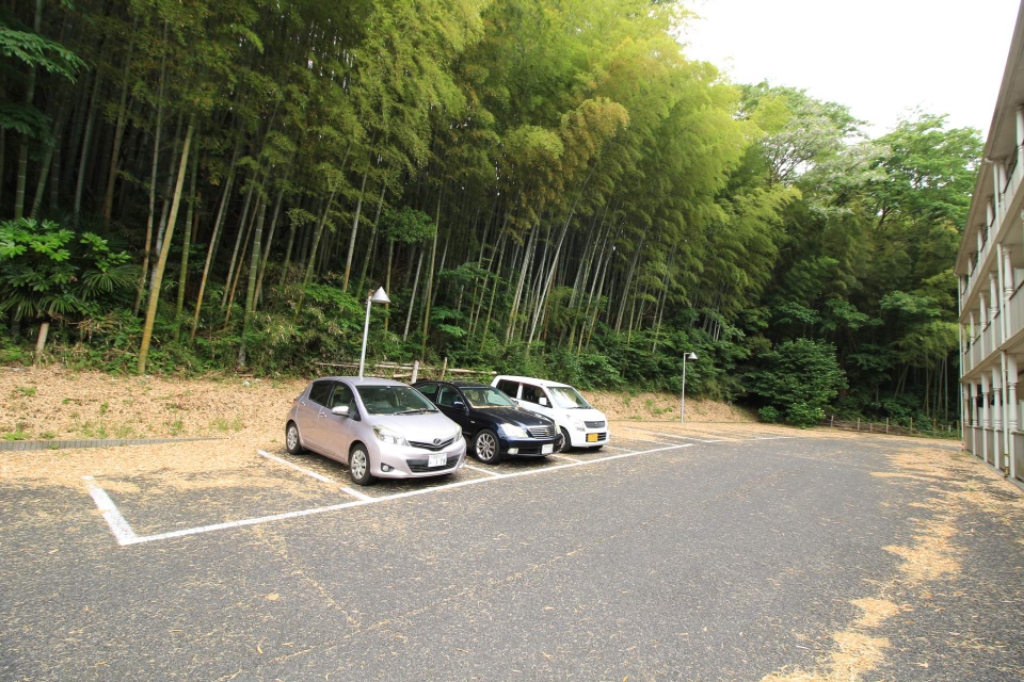 フェリーチェ その他27