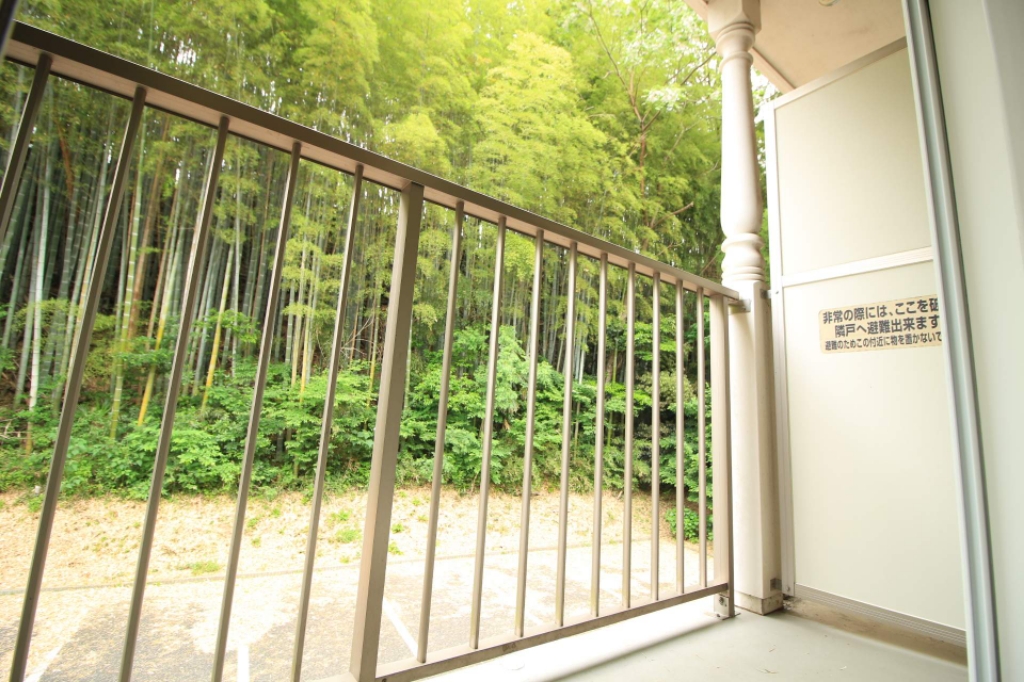 フェリーチェ その他28