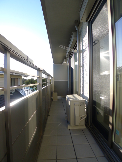 プロフェシオン その他13