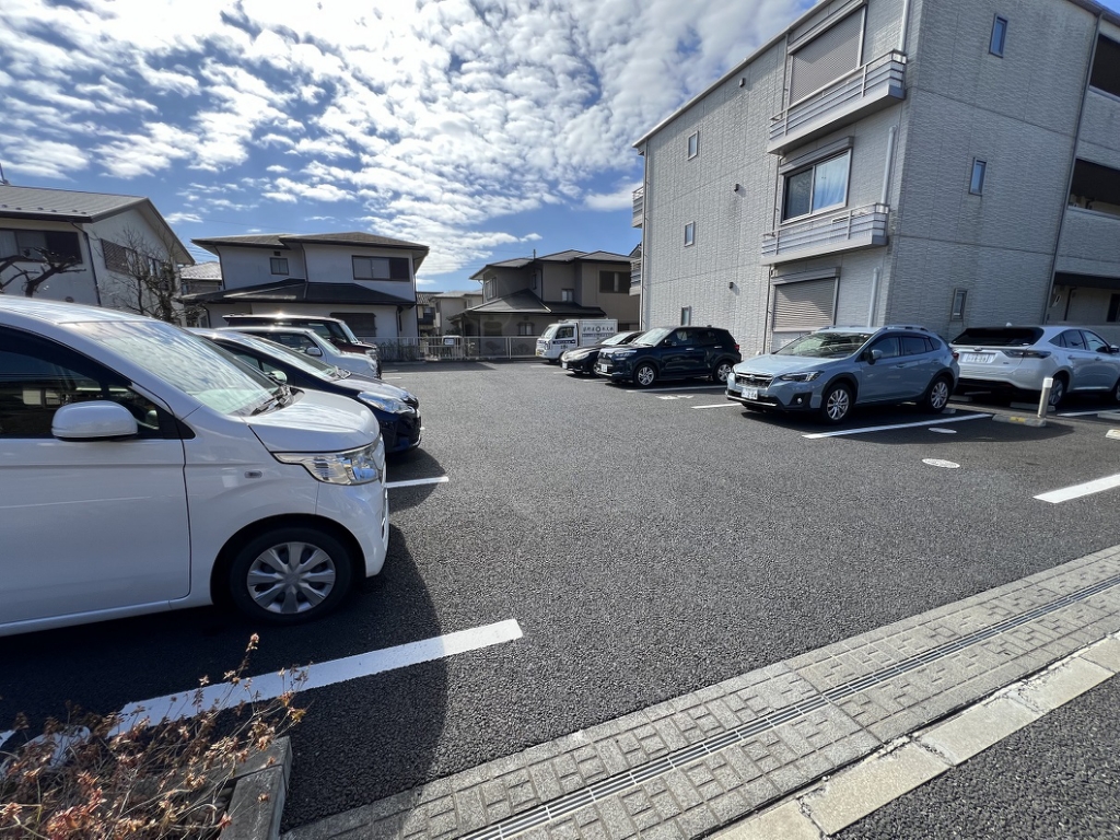 プロフェシオン その他27