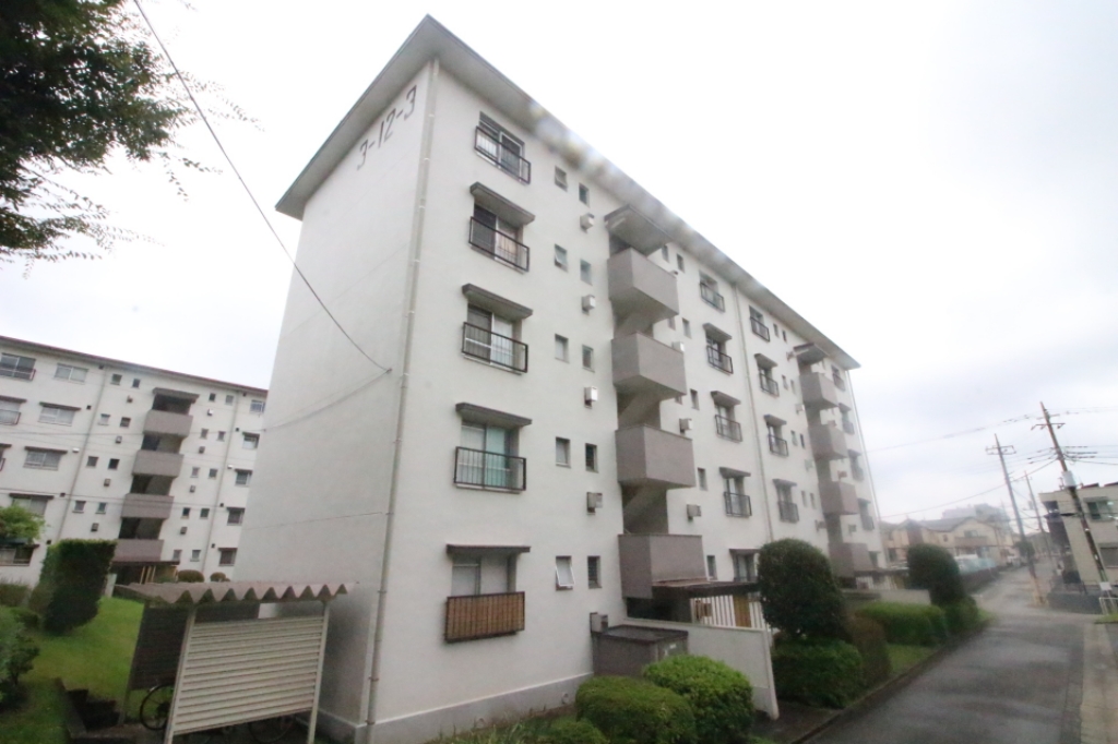 習志野台団地１２街区３号棟 その他2