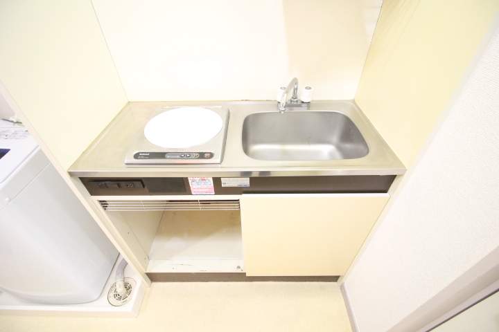 プティパピヨン その他4