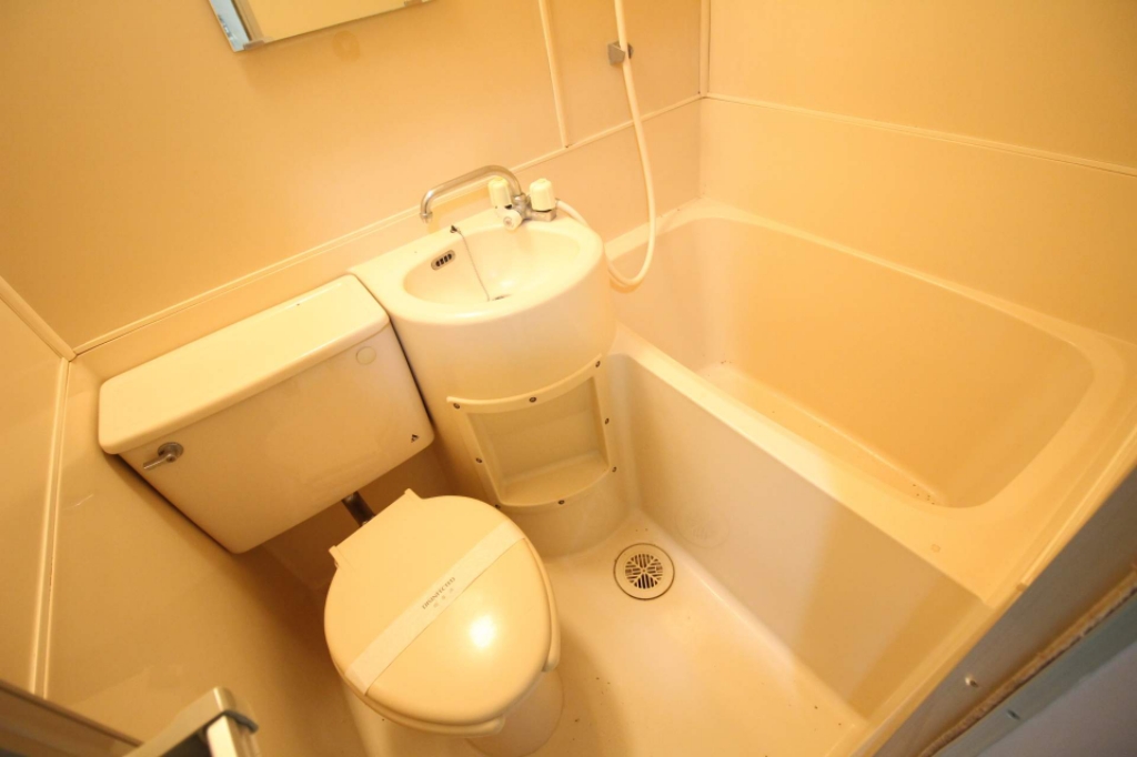 プティパピヨン その他5