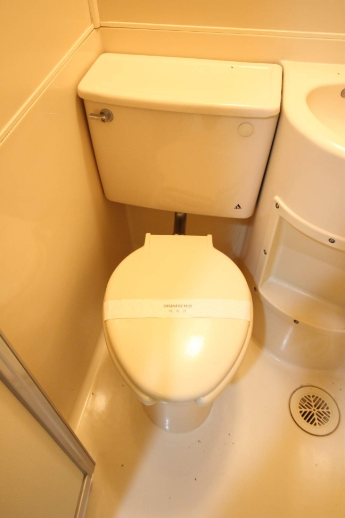 プティパピヨン その他6