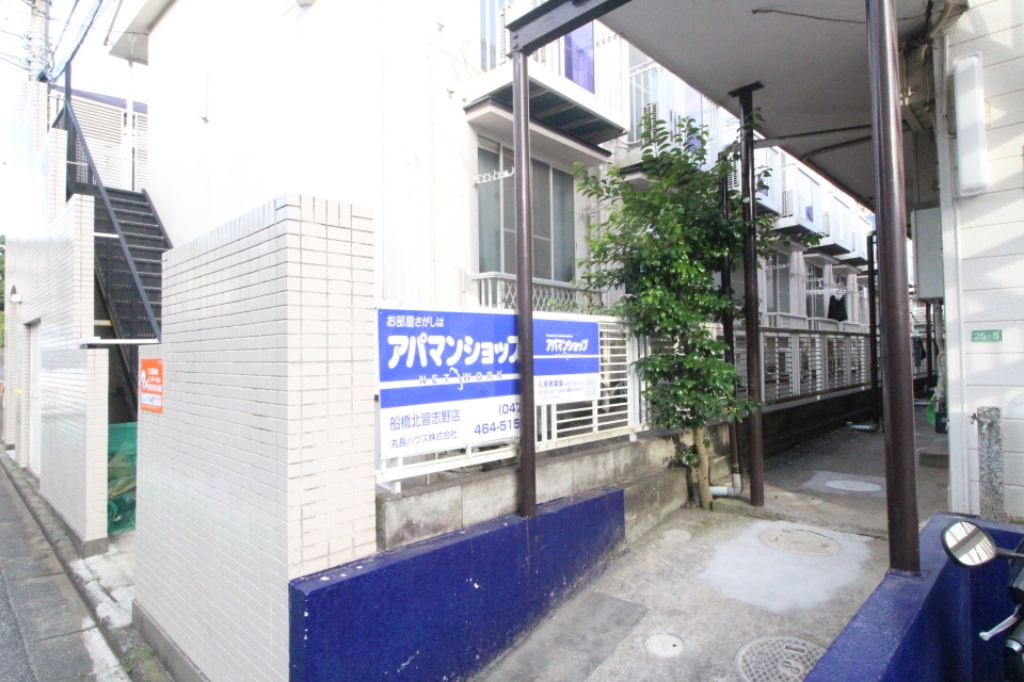 プティパピヨン その他2