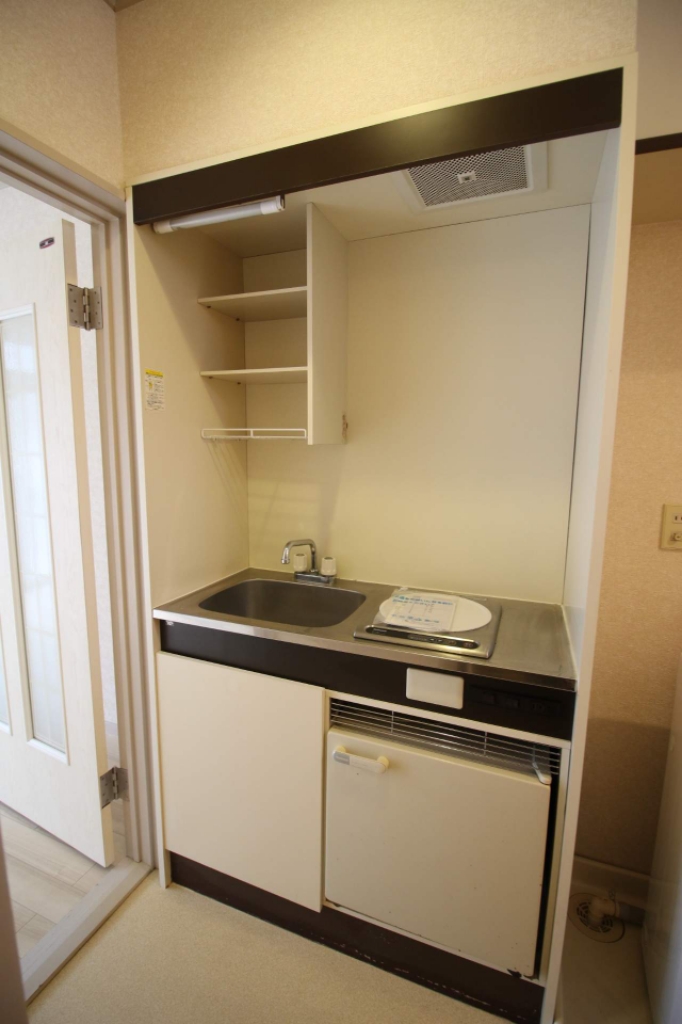 プティパピヨン その他4