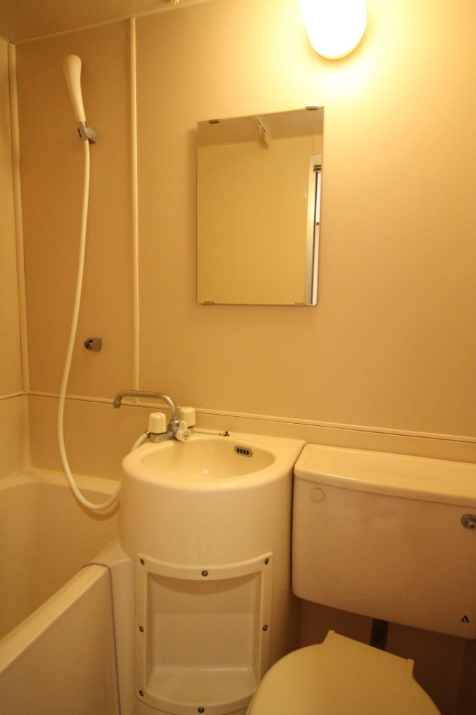 プティパピヨン その他5