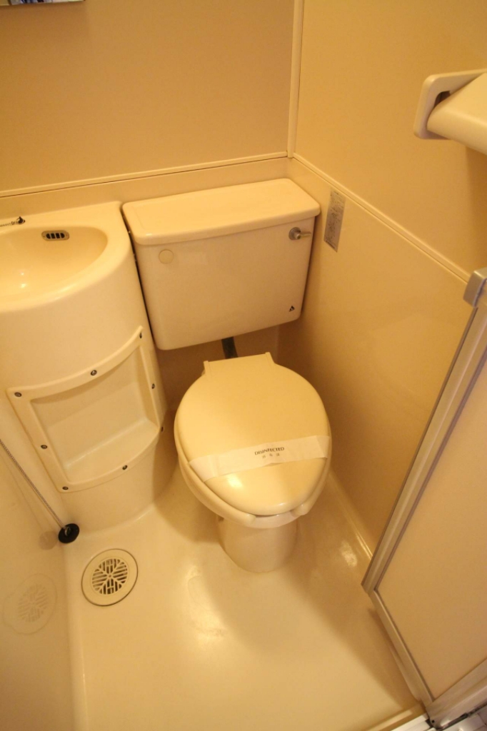 プティパピヨン その他6