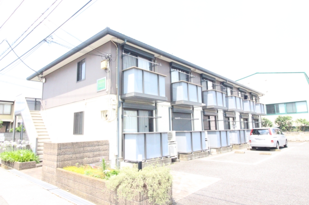 アガパンサス その他1