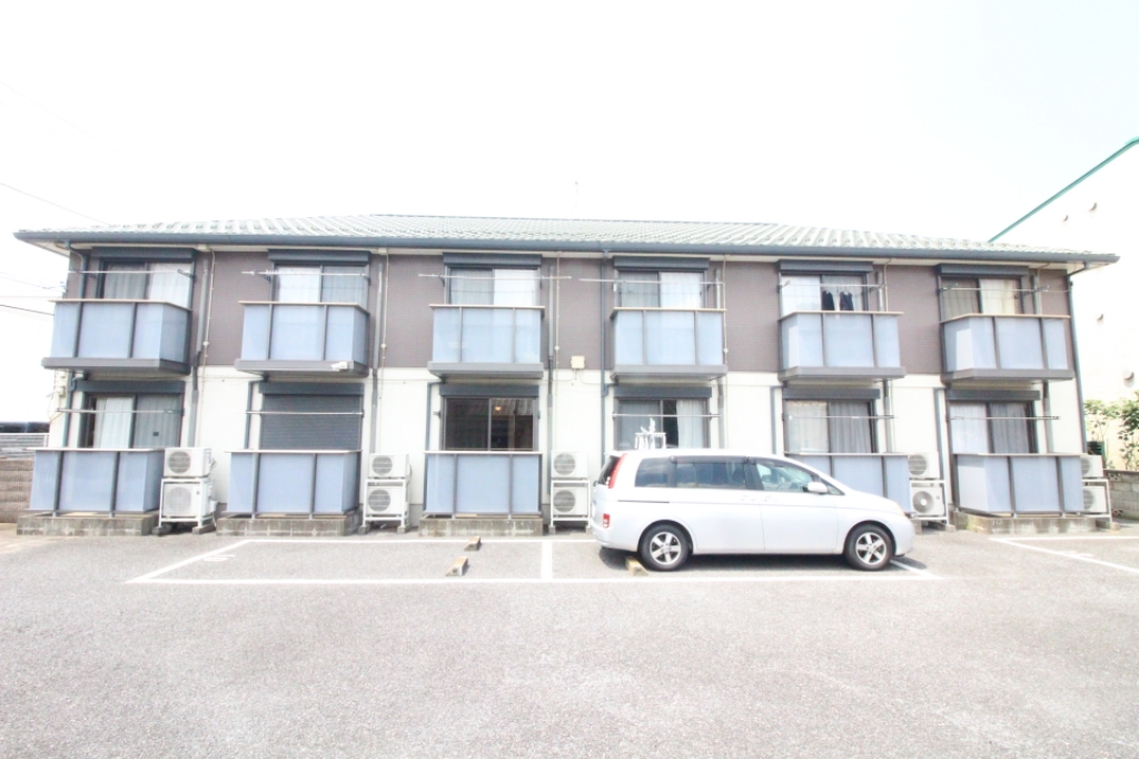 アガパンサス その他2