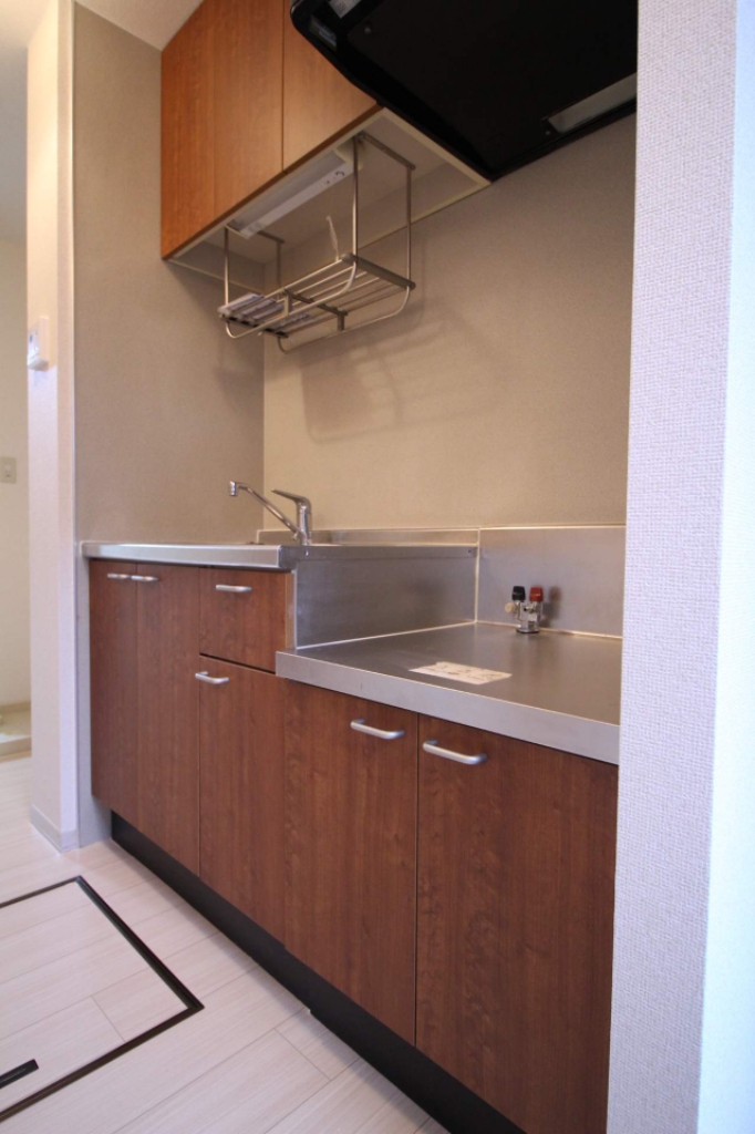 セルリアン その他4