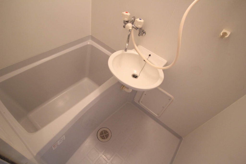 セルリアン その他5