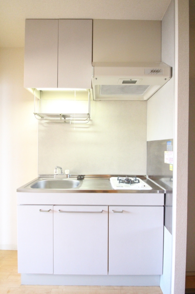 グレイス斉藤 その他4