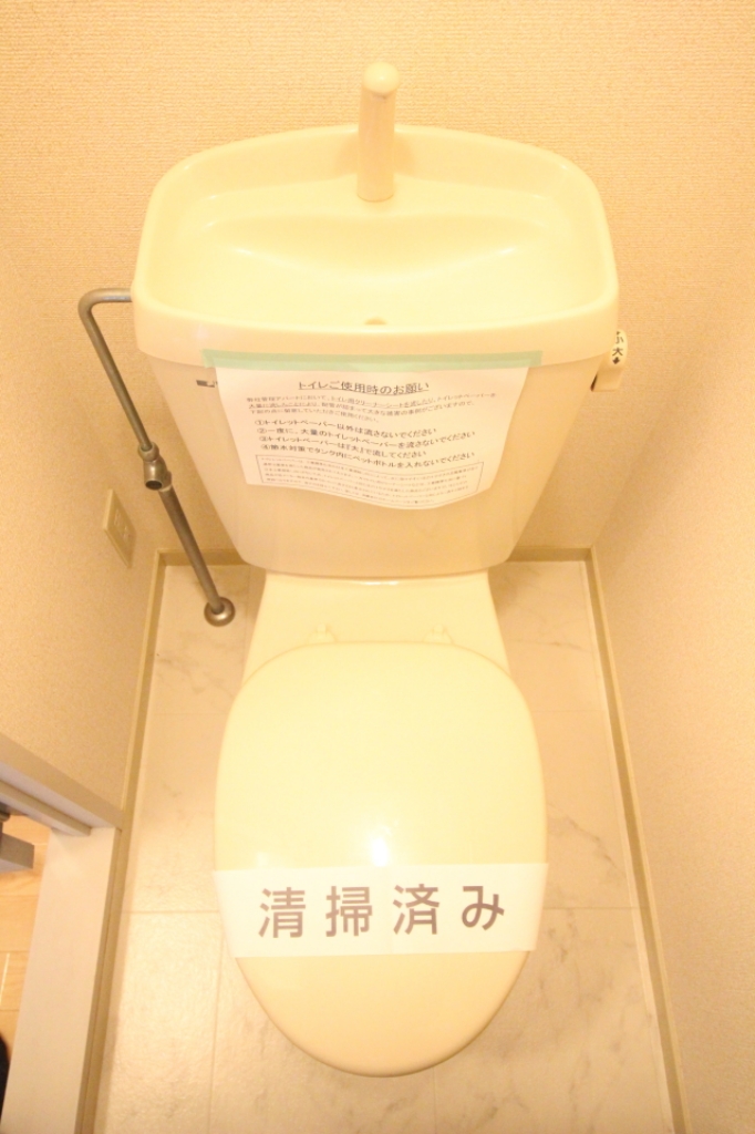 グレイス斉藤 その他6