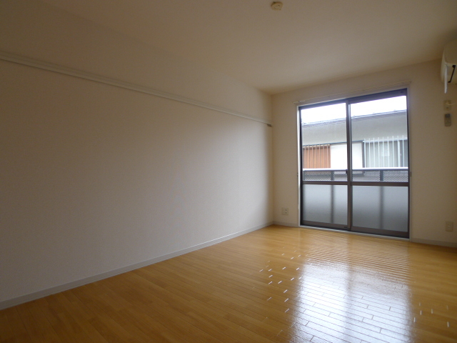 セルリアン その他3