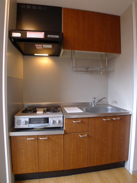 セルリアン その他4