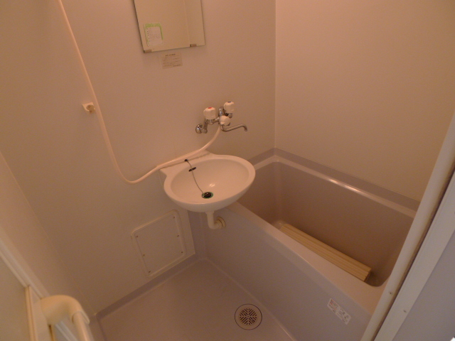 セルリアン その他5