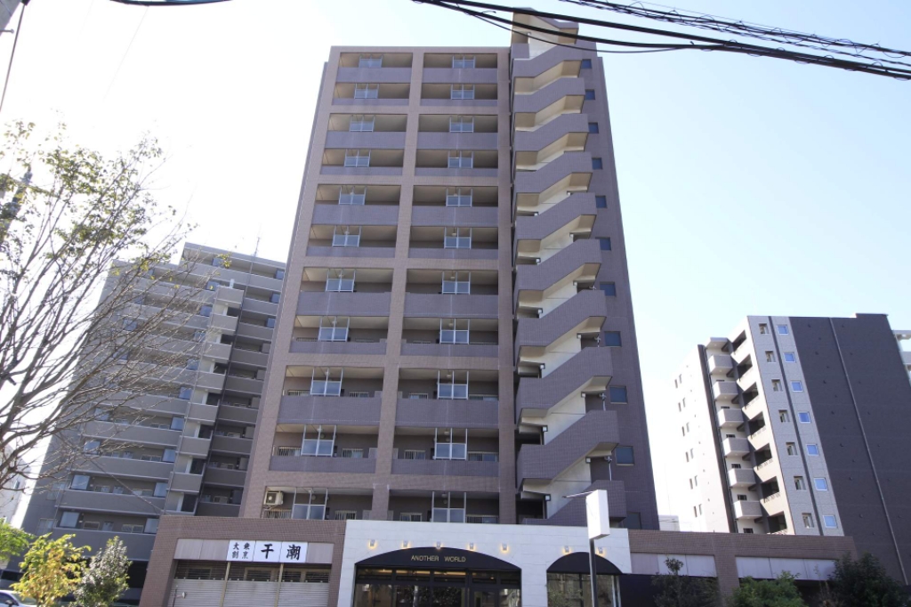 パラシオ その他2