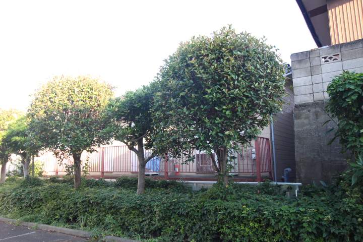 小倉コーポ その他2