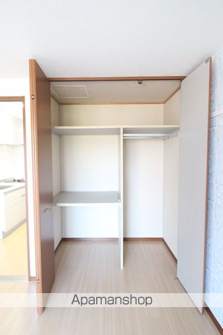 アガパンサス その他12