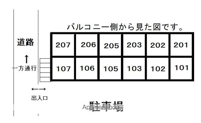 アガパンサス その他17