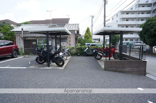 アガパンサス その他19