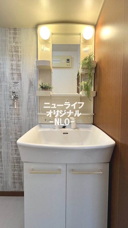 堂の後ハウス 洗面所