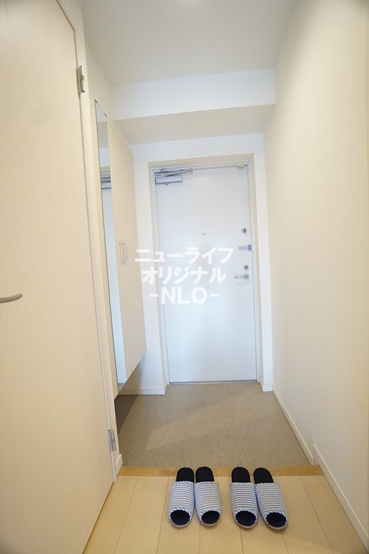 Ｐｌｕｍｅｒｉａ その他
