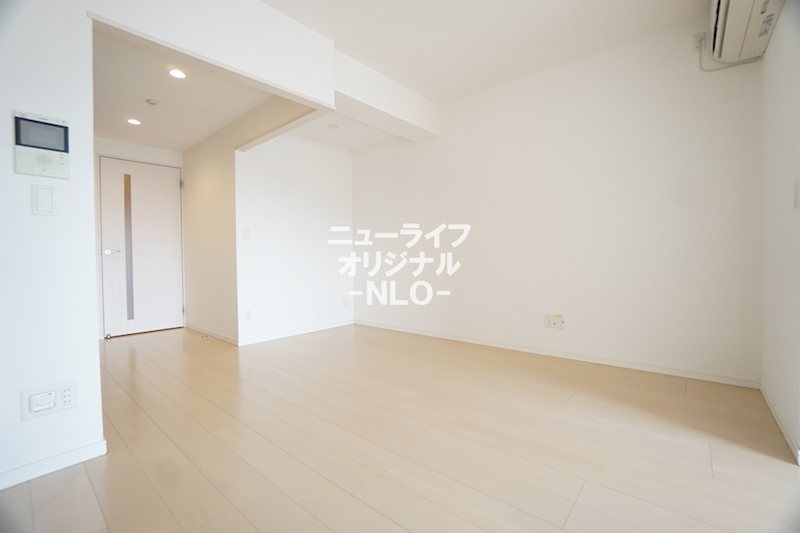 Ｐｌｕｍｅｒｉａ その他