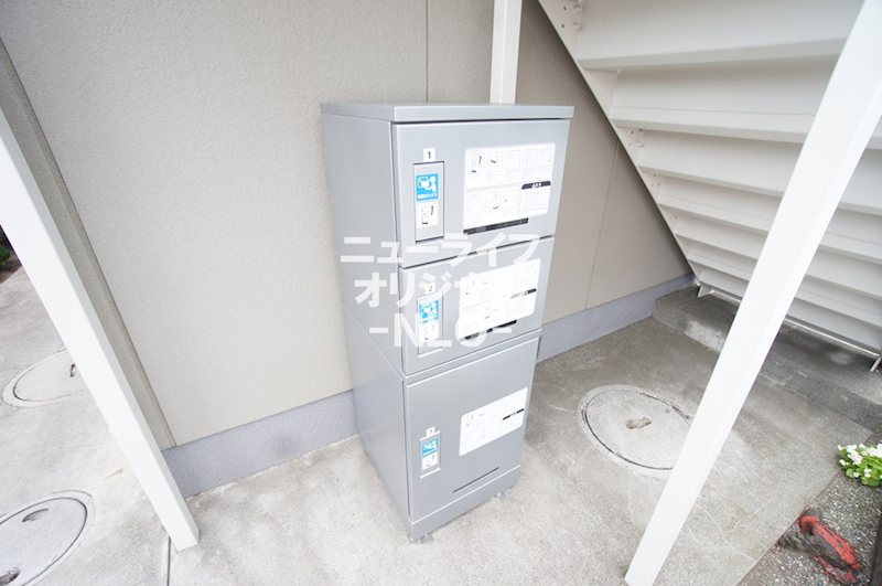 カーサ　ピーノ その他