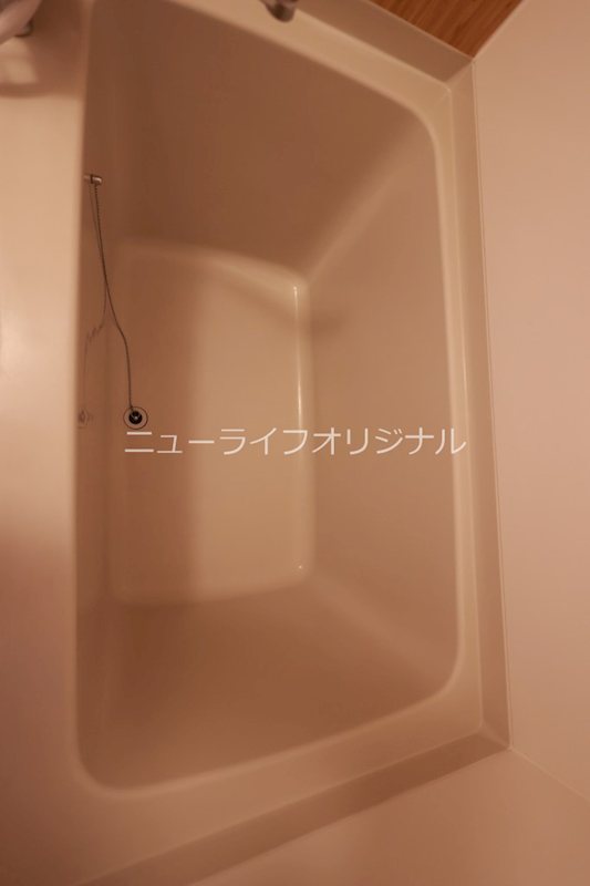 アゼリア その他