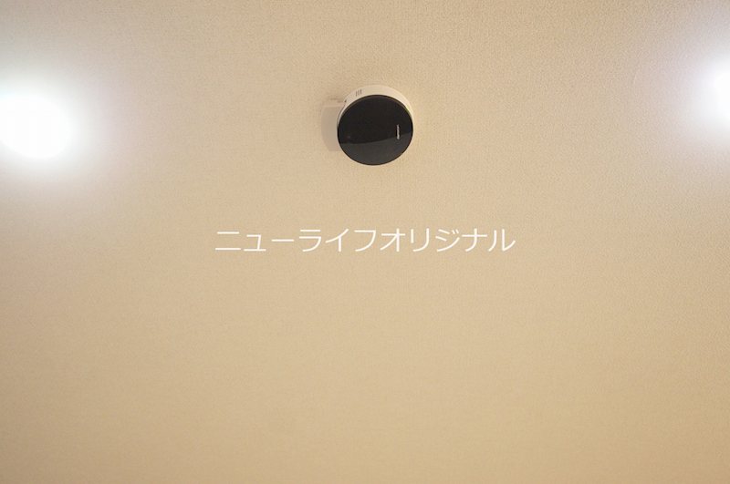 エルミタージュⅡ その他
