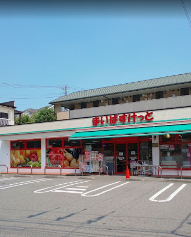 リッツハウス　ミノールⅡ スーパー