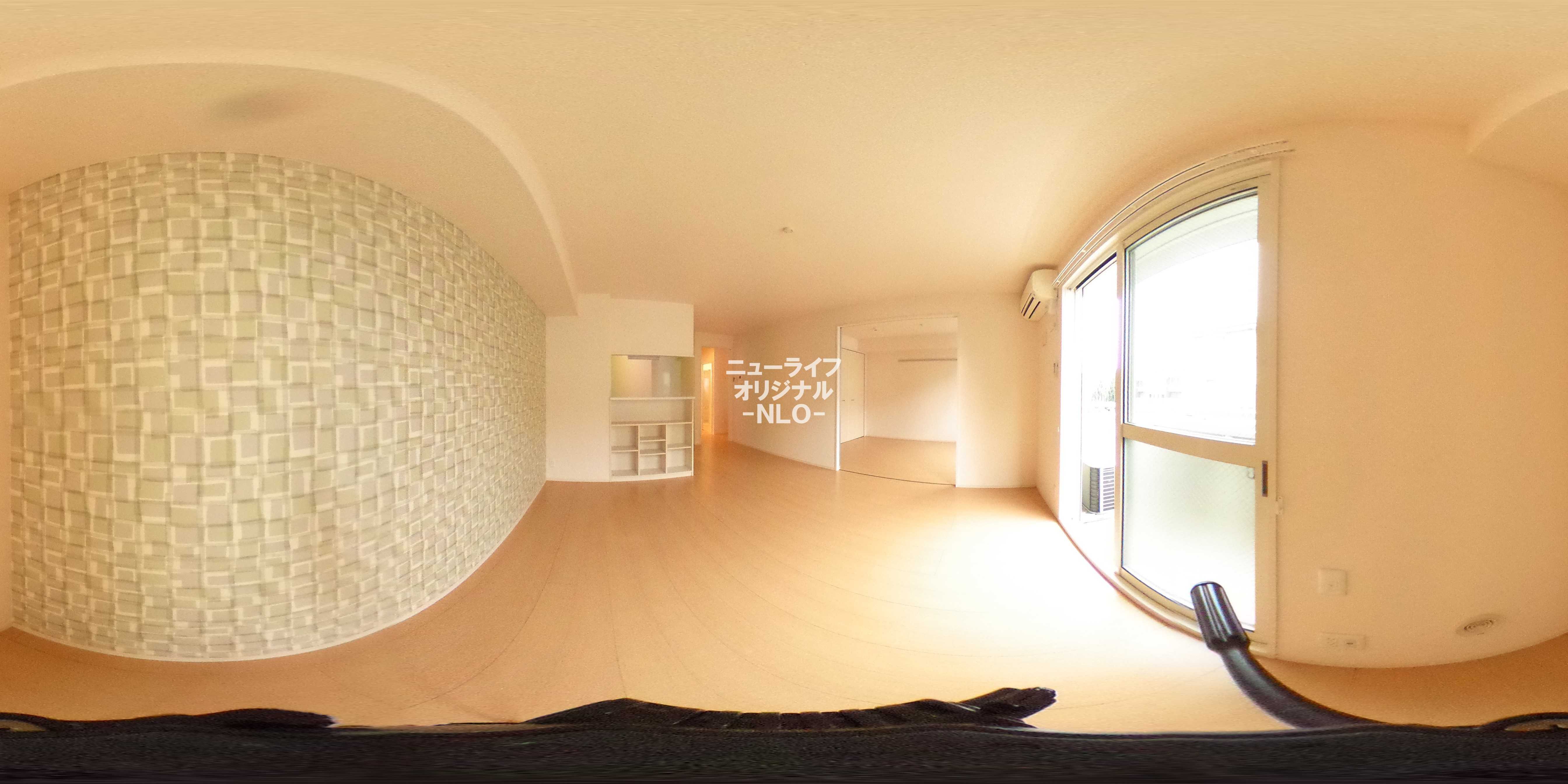 ｓｏｕｔｈ　ｗｉｎｄ その他