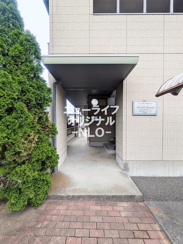 メルヴェーユヤマドリ その他
