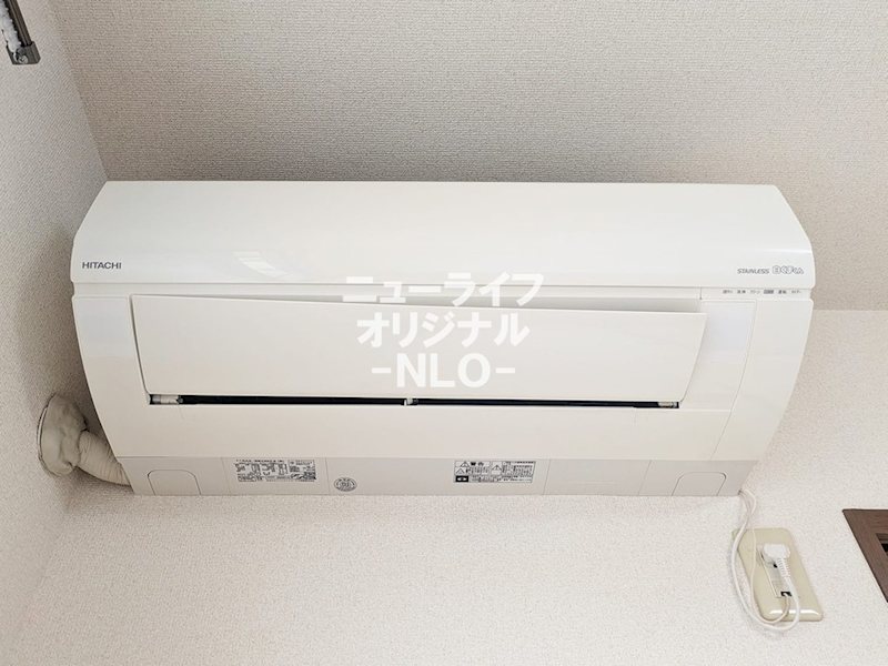 メルヴェーユヤマドリ その他