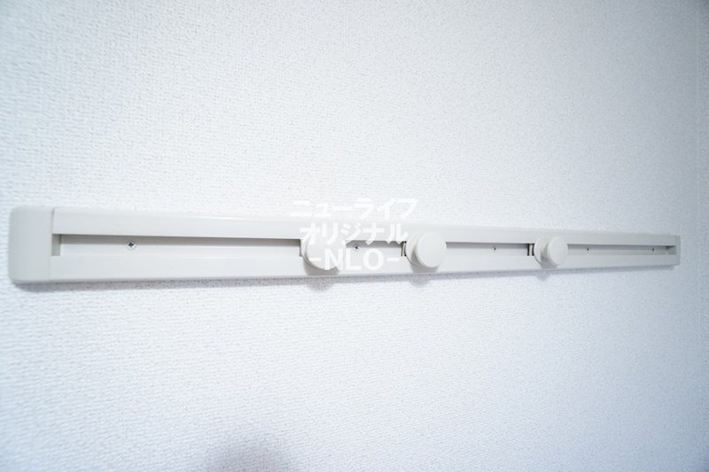 フェリシテ その他