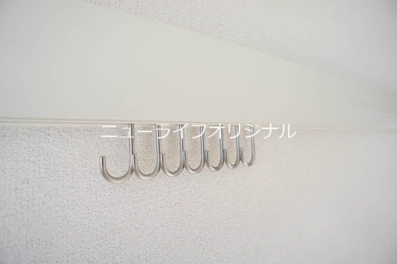アンビエラ その他