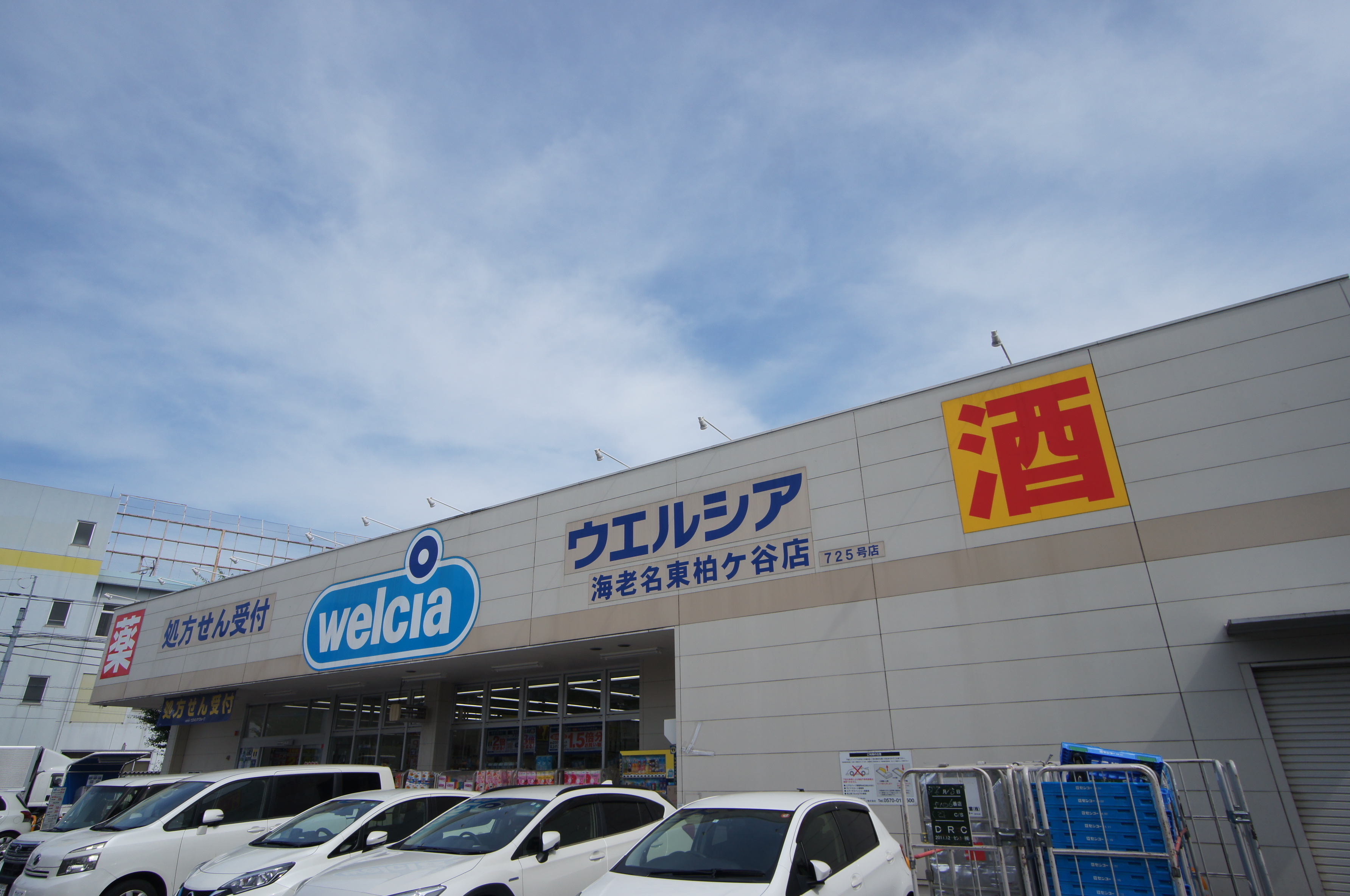 フラクタス東柏ヶ谷 ドラッグストア
