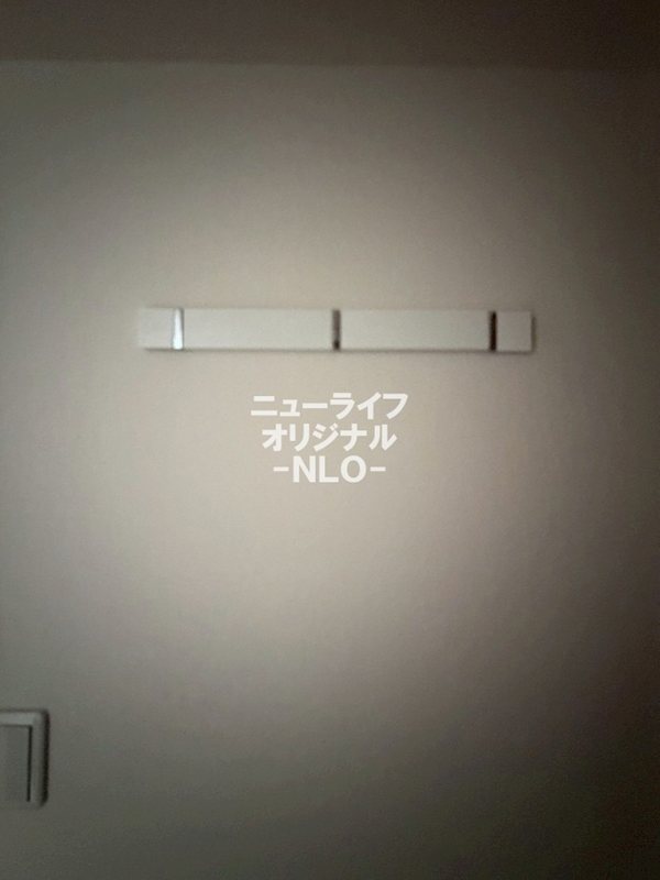 リブリ・Forestria その他