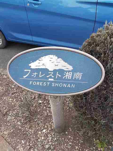 フォレスト湘南 その他