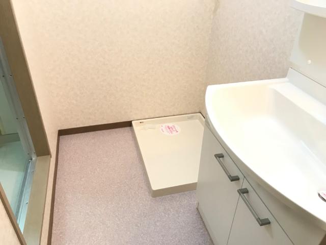サザンフィールド 洗面所