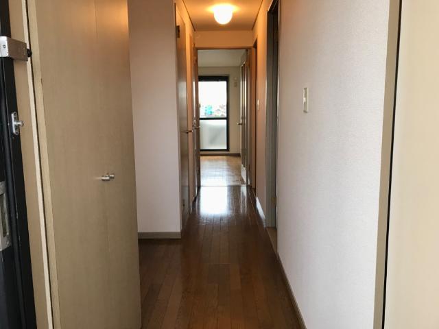 サザンフィールド その他