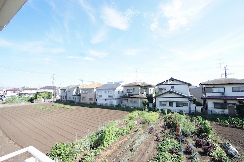 セピアテラス その他