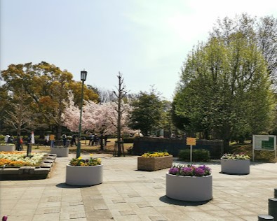 リブリ・テラ 公園